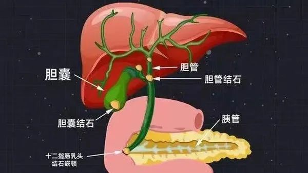 pRһλ׌đY(ji)ʯo̎ѭ